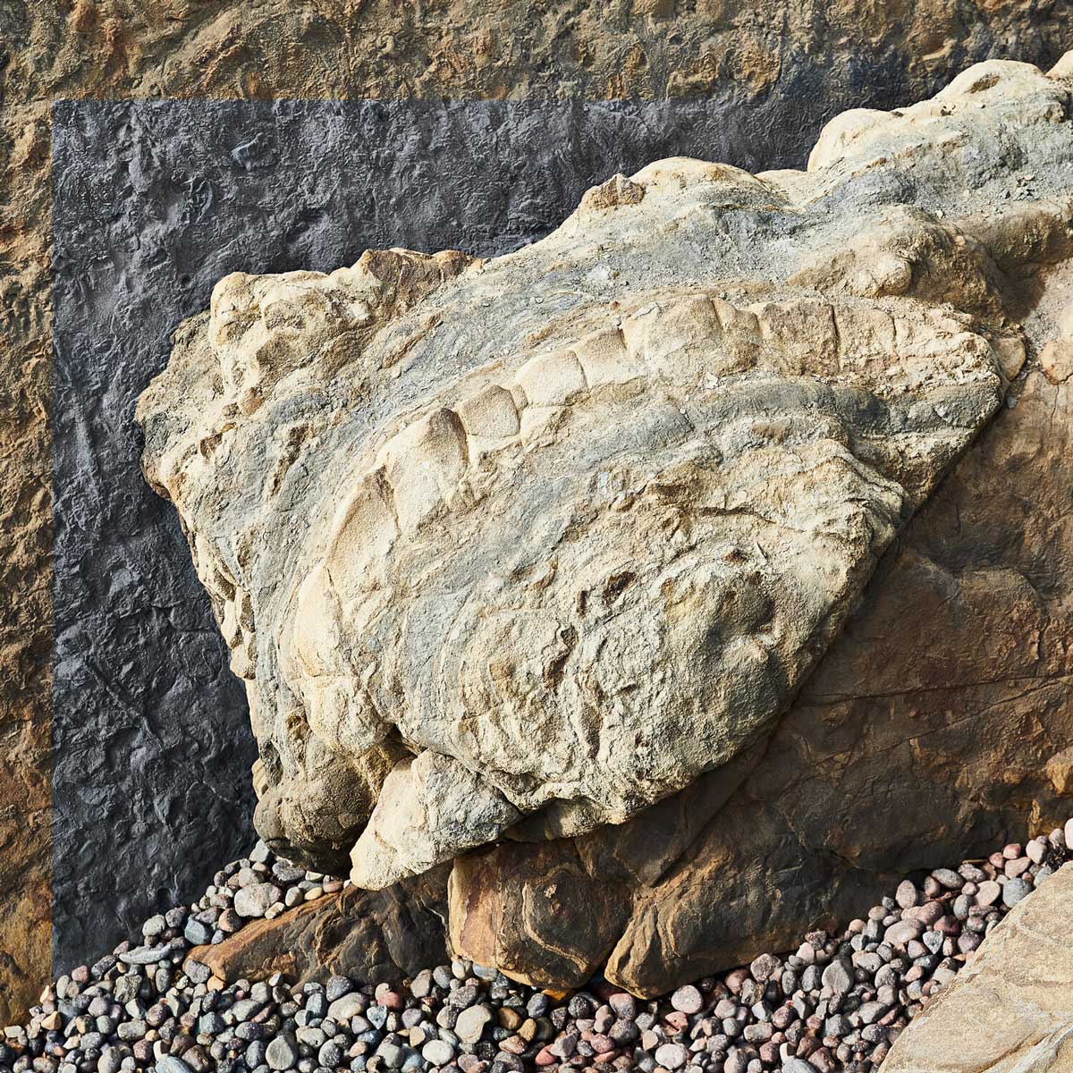 Remembering ancient days