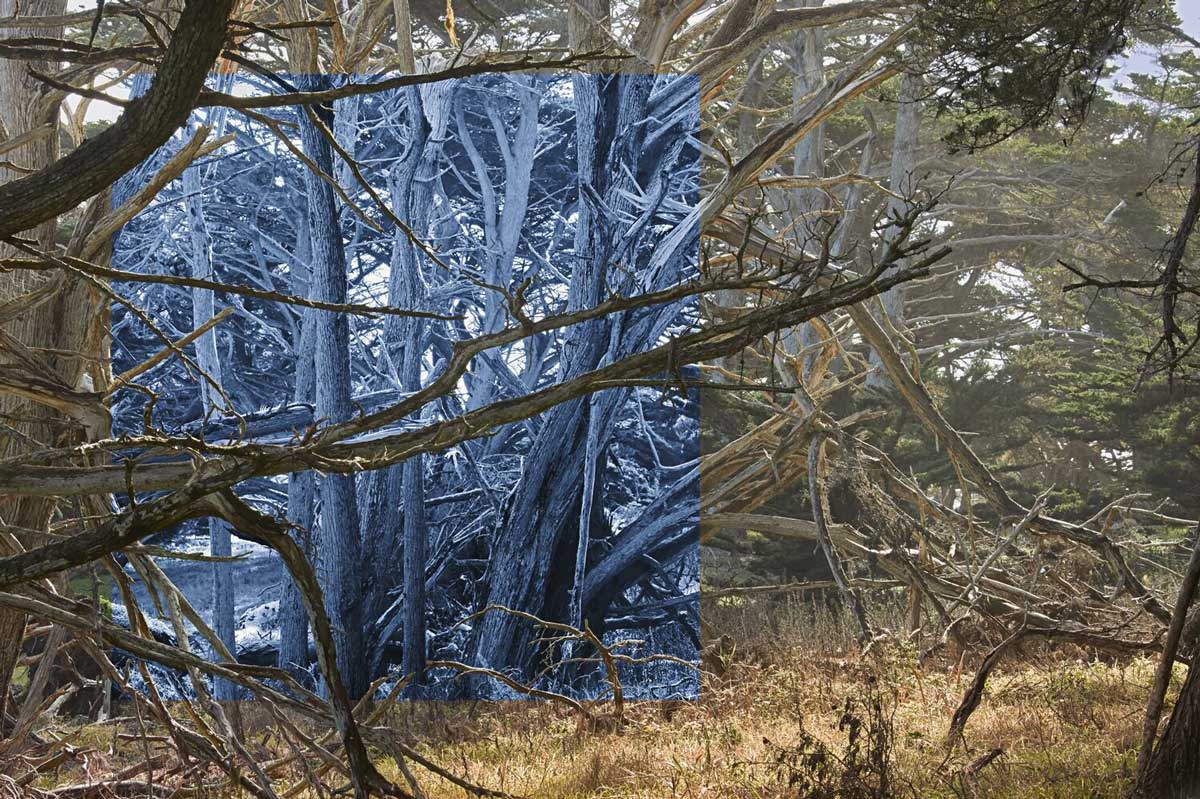 Unanticipated yet inevitabale